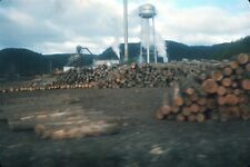 1975 weldwood logging for sale  Hiram