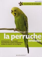 Perruche ondulée d'occasion  France