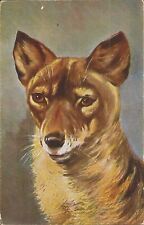 German shepard dog for sale  Brooklyn