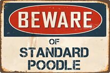 Beware standard poodle for sale  DUNSTABLE