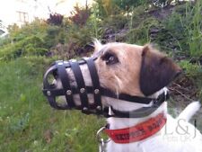 Leather dog muzzle for sale  BLACKBURN