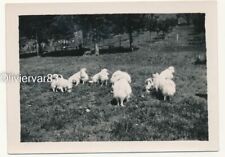 Vintage photo 1935 d'occasion  Toulon-