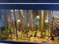 Aquarium wood tall for sale  Shipping to Ireland
