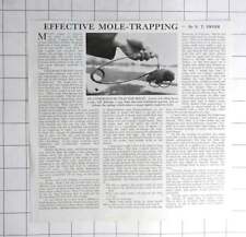 1954 effective mole for sale  UK