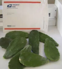 Pads spineless cactus for sale  Palm Beach