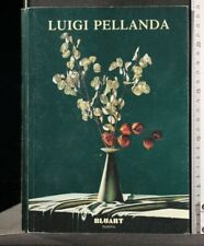 Luigi pellanda. michela usato  Ariccia