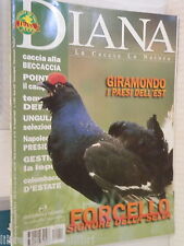 Diana 2001 forcello usato  Salerno