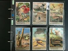 trade cards Liebig Orthoptera ( Locust family ) S1458 - 1947 full set  for sale  Shipping to South Africa