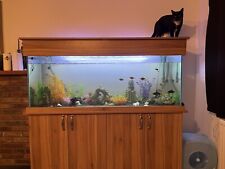 Fish tank for sale  WESTON-SUPER-MARE