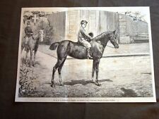 arabo cavallo in vendita usato  Villarosa