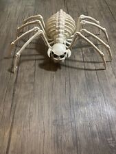 Spider skeleton decoration d'occasion  Expédié en Belgium