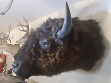 Buffalo bison head for sale  Liberty Lake