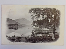 Postcard derwentwater broom for sale  TAMWORTH