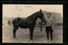 Foto reitpferd pferdeknecht gebraucht kaufen  Berlin