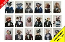 Hipster dog prints for sale  DARWEN