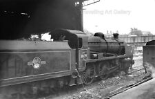 Guildford shed coaling for sale  NORTHAMPTON