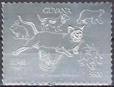Guyana 1992 cane usato  Italia