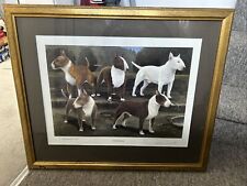 Bull terrier limited for sale  WORCESTER