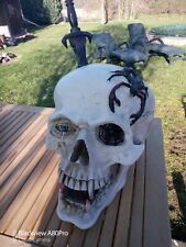 Totenkopf skull schädel gebraucht kaufen  Küstrin-Kietz