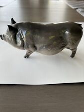 3 potbelly pigs for sale  Arvada