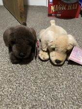 Labrador soft toys for sale  ST. LEONARDS-ON-SEA