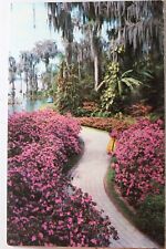 Florida cypress gardens for sale  Shipping to Ireland