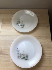 Assiettes arcopal parfait d'occasion  Retiers