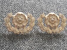 Pair royal hampshire for sale  HARTLEPOOL