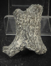 Fossile corail polypier d'occasion  Marcq-en-Barœul
