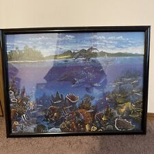 Sea life framed for sale  Edwardsville