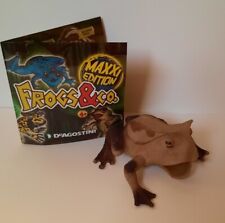 Frogs co. maxxi usato  Firenze