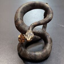 Texas rattle snake for sale  Porterville