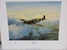 Spitfire sortie robert for sale  LEICESTER