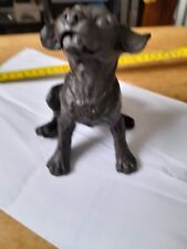 Fabulous puppy dog for sale  TAUNTON