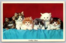 Six kuddly kittens for sale  Harbor Beach