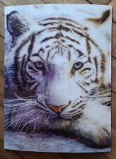 Poster plastifié tigre d'occasion  Paris XVIII