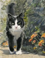 Tuxedo cat art for sale  Columbia
