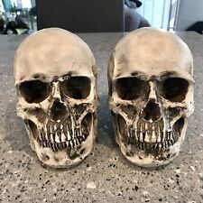 2pcs skull heads for sale  La Mesa