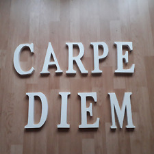 carpe diem holz gebraucht kaufen  Wuppertal