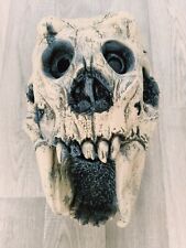 Halloween skull mask for sale  COVENTRY