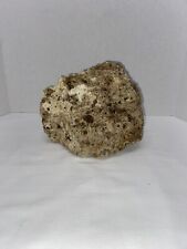 Natural dry coral for sale  El Mirage