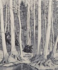 Eva Holmén-Edling (1942), artista sueca. Xilogravura em papel japonês. Cena da floresta. comprar usado  Enviando para Brazil
