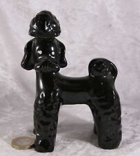 black standard poodle for sale  HOLSWORTHY