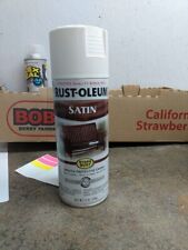 Spray paint satin for sale  Branson