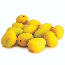 Mango fresh kesar for sale  HARROW