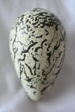 Replica guillemot egg. for sale  LIVERPOOL