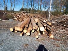 Brennholz kaminholz stammholz gebraucht kaufen  Naila