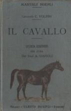 Cavallo cavallo nell usato  Trento