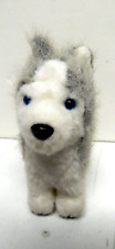 Siberian husky american for sale  Virden