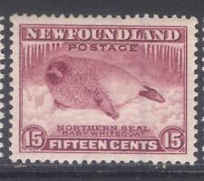 Newfoundland 195 1932 for sale  Beaverton